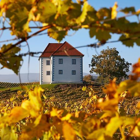 Wine Grower'S Mansion Zlati Gric Apartment Slovenske Konjice Ngoại thất bức ảnh