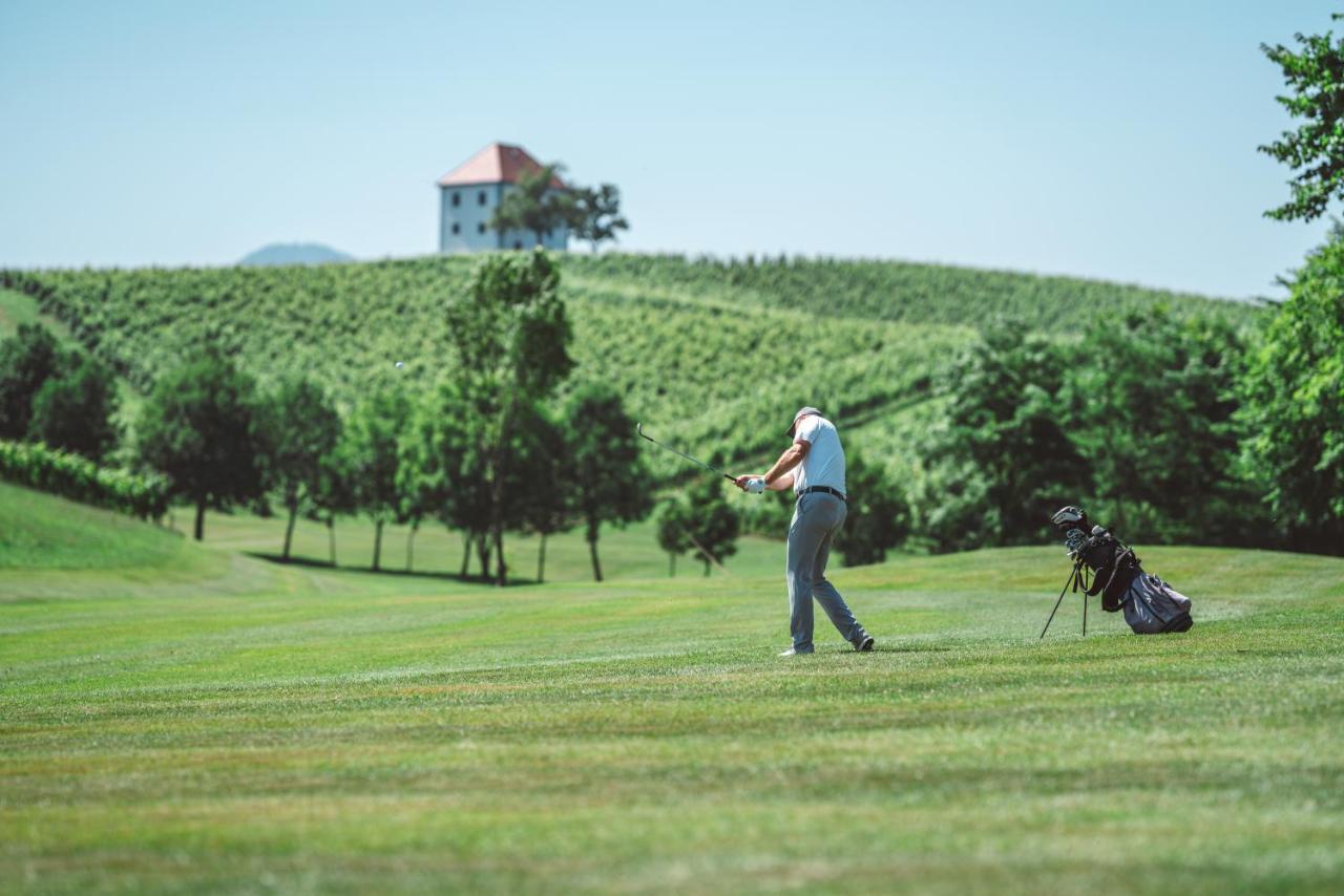 Wine Grower'S Mansion Zlati Gric Apartment Slovenske Konjice Ngoại thất bức ảnh