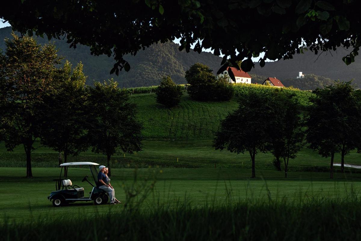 Wine Grower'S Mansion Zlati Gric Apartment Slovenske Konjice Ngoại thất bức ảnh