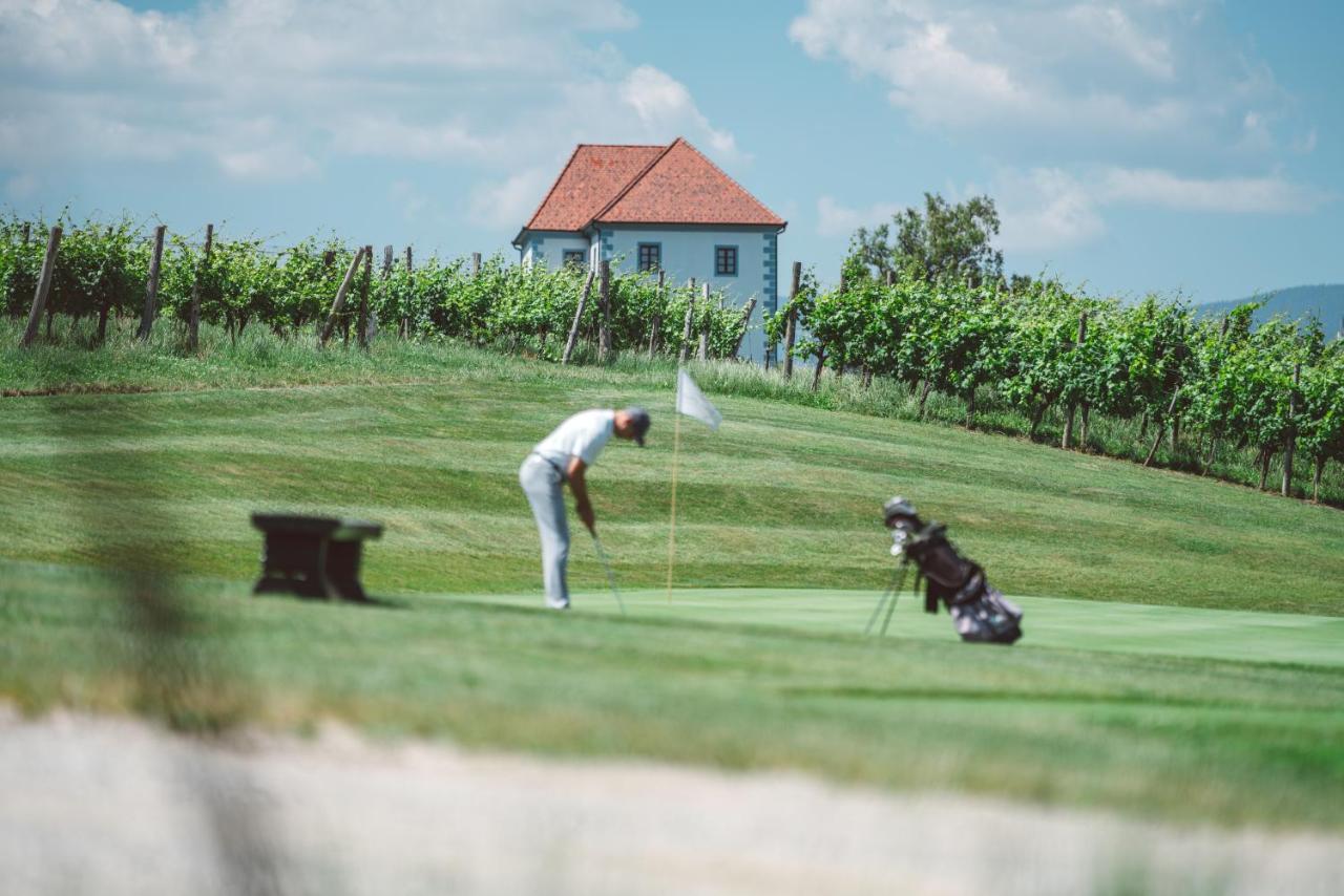 Wine Grower'S Mansion Zlati Gric Apartment Slovenske Konjice Ngoại thất bức ảnh