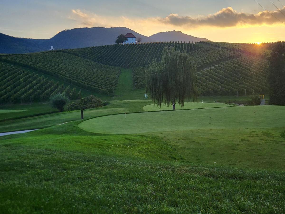 Wine Grower'S Mansion Zlati Gric Apartment Slovenske Konjice Ngoại thất bức ảnh