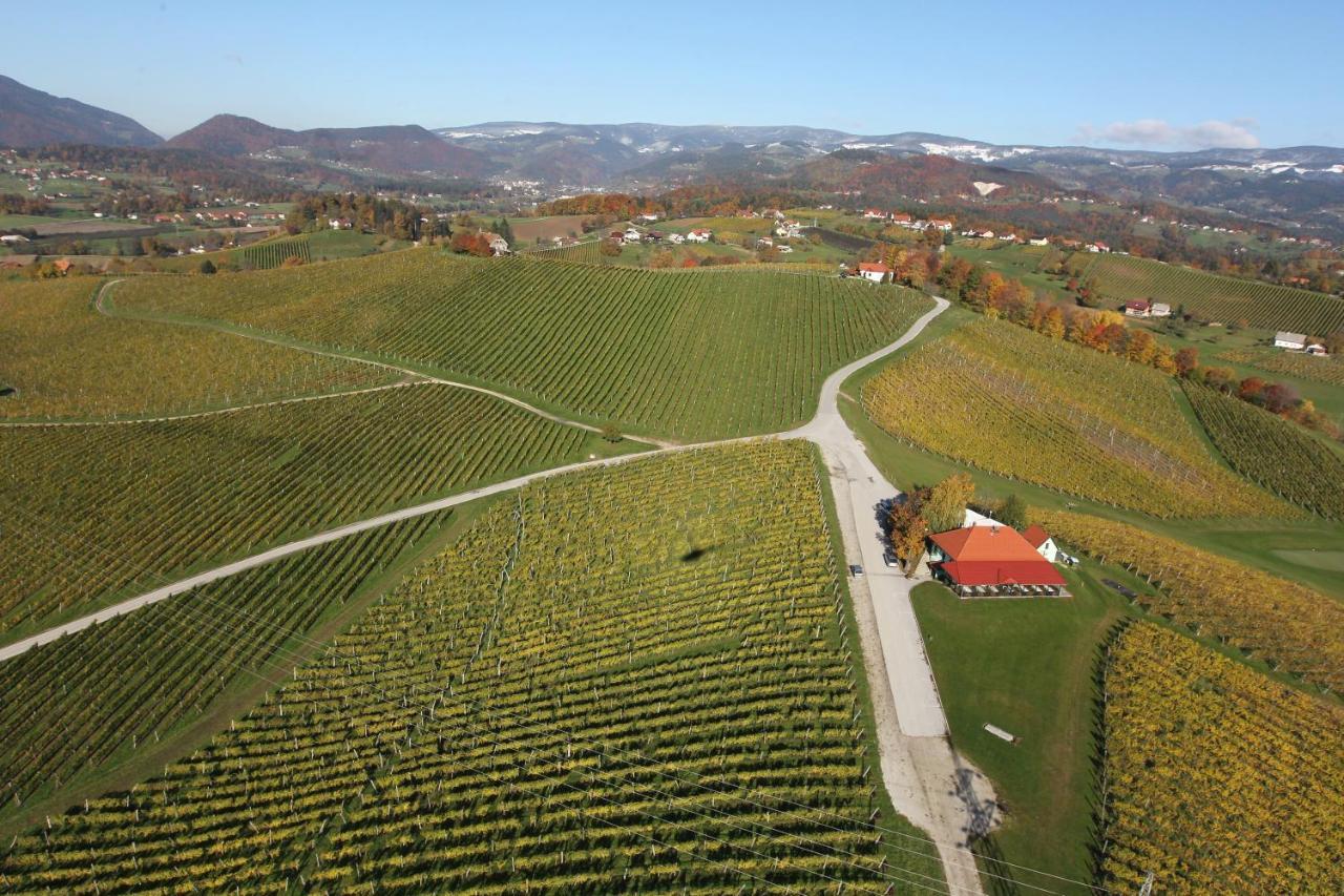 Wine Grower'S Mansion Zlati Gric Apartment Slovenske Konjice Ngoại thất bức ảnh