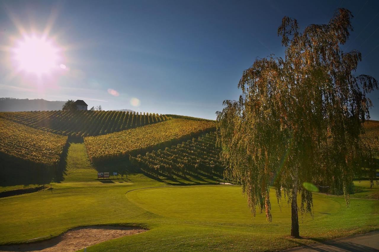 Wine Grower'S Mansion Zlati Gric Apartment Slovenske Konjice Ngoại thất bức ảnh