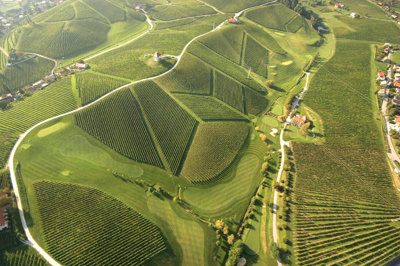 Wine Grower'S Mansion Zlati Gric Apartment Slovenske Konjice Ngoại thất bức ảnh