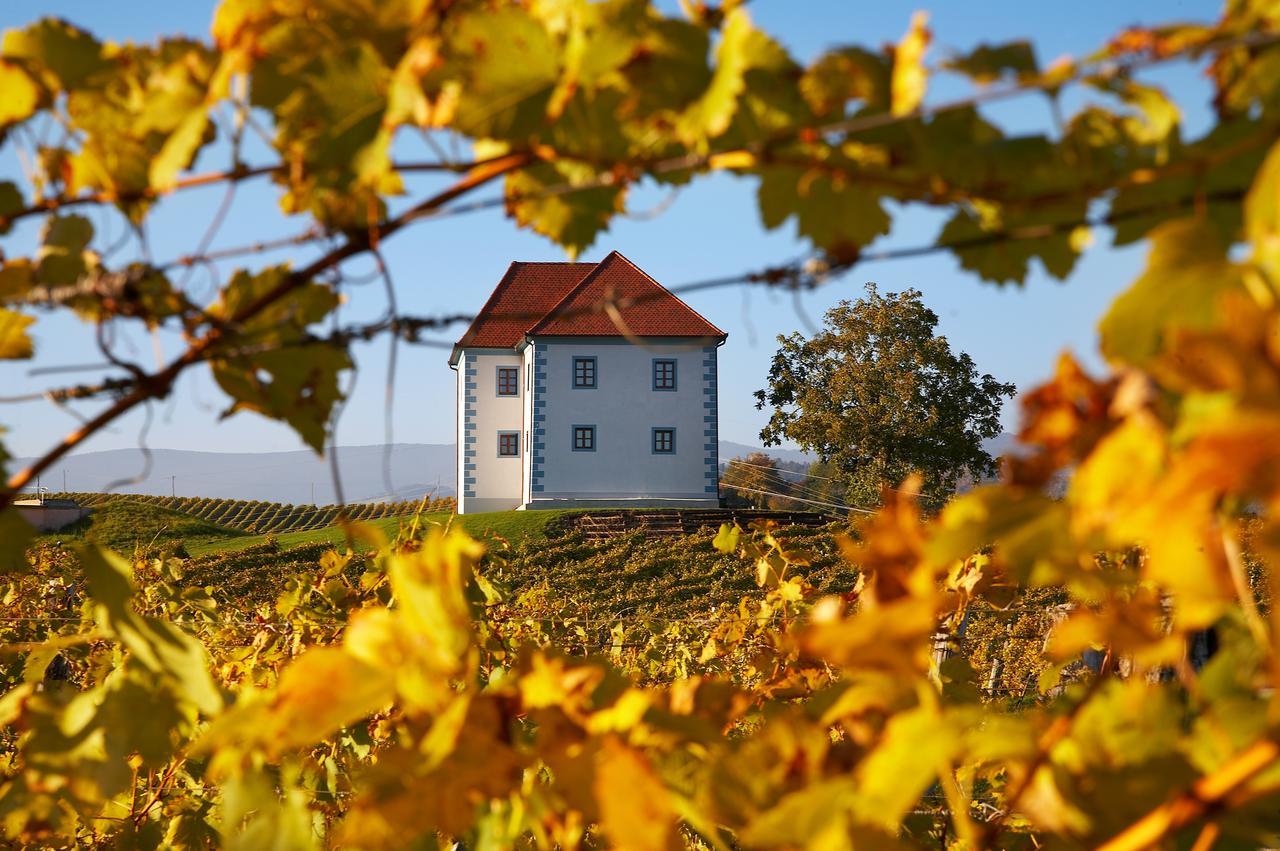 Wine Grower'S Mansion Zlati Gric Apartment Slovenske Konjice Ngoại thất bức ảnh