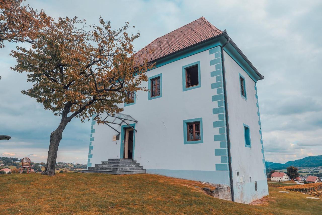 Wine Grower'S Mansion Zlati Gric Apartment Slovenske Konjice Ngoại thất bức ảnh